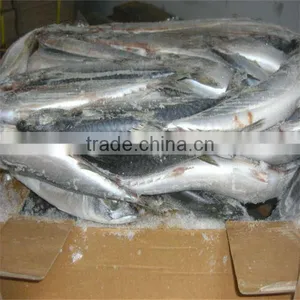 Sea Food and Best Fish Fresh thumbnail-1