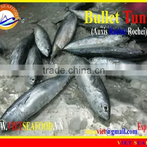 FROZEN W/R BULLET TUNA thumbnail-1