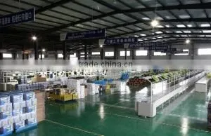 Zhejiang Xinchang Bigyao Power Tool Co., Ltd. company overview - view 2 thumbnail