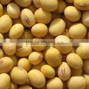 Soy Peptide thumbnail-1