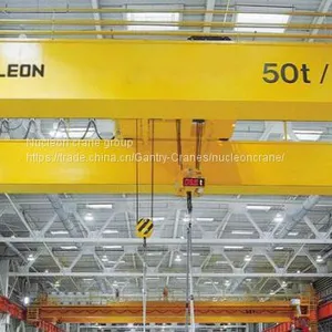 Nucleon QY Model Double Girder Insulation Bridge Crane thumbnail-5