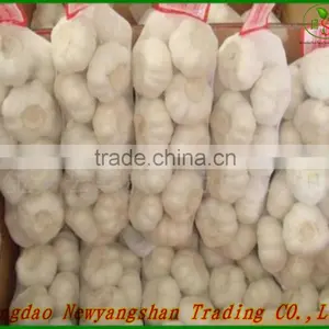 2015 Fresh Garlic/100% Natural Garlic thumbnail-3