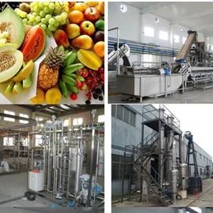 Industrial Cold Press Juicer/apple Juice Belt Press thumbnail-5