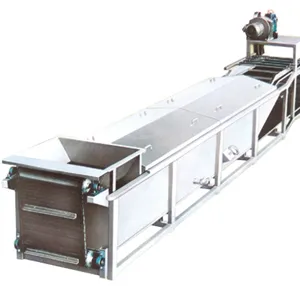 Washing, Cutting, Blanching Machine for Fruit and Vegetable Processing Line thumbnail-2