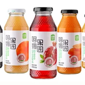 Automatic Pomegranate Juice Production Line thumbnail-1
