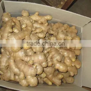 2016 Chinese Fresh Ginger Wet Dry Half Dry Skin Super Quality thumbnail-2