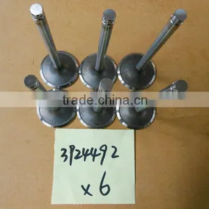 Cummins 6CT Engine Intake Valve 3924492 for Truck thumbnail-1