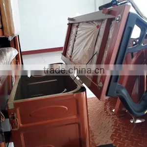 2016 E RICKSHAW thumbnail-4