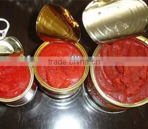 Easy Open Canned Tomato Paste 70g -4.5kg thumbnail-1