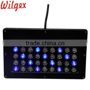 Outdoor Waterproof Landscape LED Projection Lighting thumbnail-2