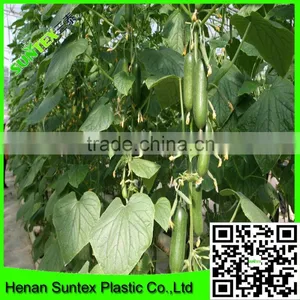 Heavy Duty Long-lasting Flexible Trellis Netting Growing Cucumbers Support Net thumbnail-1