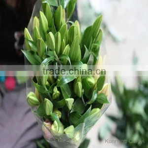 Fresh Cut Flowers Lily Flower thumbnail-3