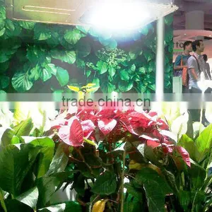 40w-300w Induction Grow Lamp thumbnail-6