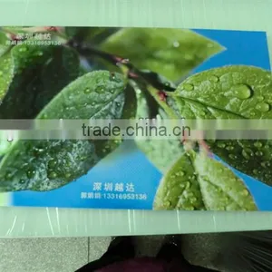High Quality Digital Inkjet Pvc Film Printer thumbnail-1
