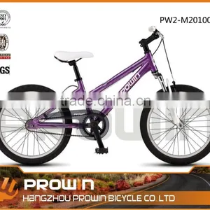 20" Adult Bmx Bike(PW2-M20100) thumbnail-1