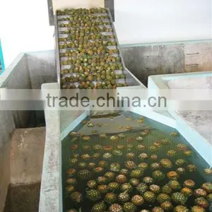 Mango Pineapple Processing Line thumbnail-2