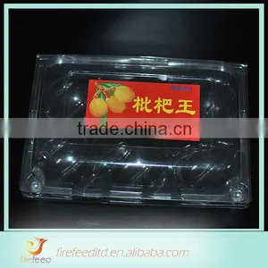 China Wholesale High Quality Plastic Compartment Tray With Lid thumbnail-1