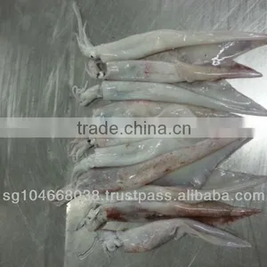Frozen Arrow Squid Whole Round thumbnail-1