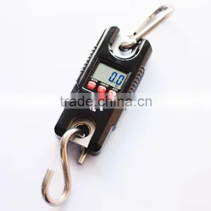 Factory Good Price 300kg Weighing Crane Scale thumbnail-1