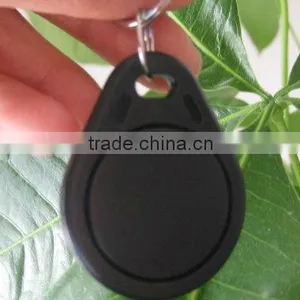 T5577 Temic Keyfob Tags thumbnail-1