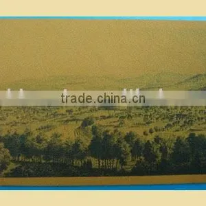 2011 Fashion Garment Leather Label thumbnail-1