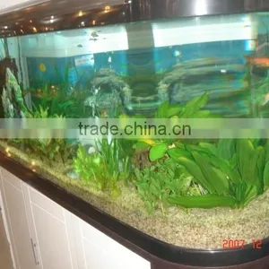Acrylic Aquarium With Double Arc Shape thumbnail-5