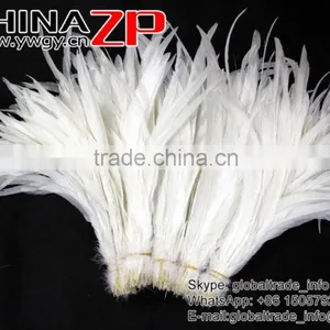 NO.1 Supplier ZPDECOR Best Selling Bleached White Fully Dyed Roosters Chicken Feathers thumbnail-2