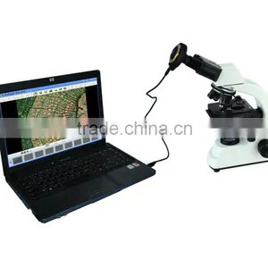 5.0MP High Resolution DBMVV3000-5B Digital Biological Microscope Euipped With Microscope Camera thumbnail-1