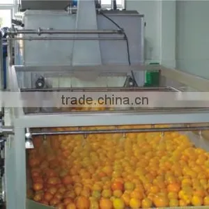 200 Tons per Day Automatic Orange Citrus Processing Line Fruit Juice Production Line thumbnail-5