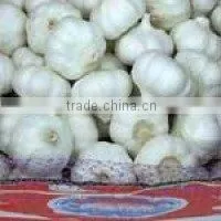 FRESH GARLIC PRODUCER thumbnail-1