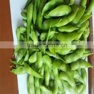 Chinese Frozen Green Soy Bean, IQF Edamame thumbnail-2
