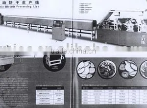 Automatic Biscuit Processing Line thumbnail-1