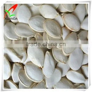 Snow White All Kinds Pumpkin Seeds thumbnail-1
