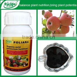 High Potassium Organic Fertilizer thumbnail-1
