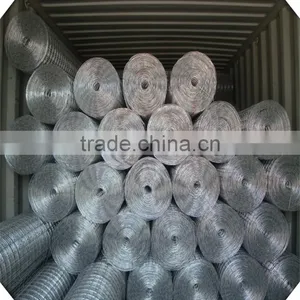 1/2 Inch Galvanized Welded Wire Mesh / Galvanized Welded Wire Mesh Price / Galvanized Welded Wire Mesh Weight thumbnail-6
