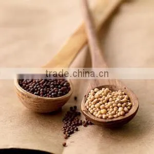 Mustard Seed thumbnail-2