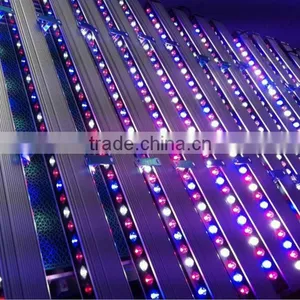 Wholesale Abibaba 54x1W LED Grow Bar Light for Vertical Farming thumbnail-1