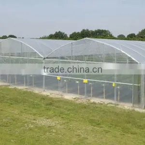 Plastic Film Covered Greenhouse For Mushroom&Roses thumbnail-3