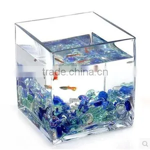 Home Table Decoration Square Clear Glass Plant Hydroponic Container Flower Vases thumbnail-4