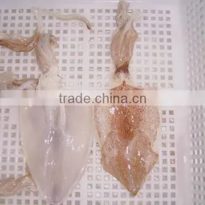 Frozen Argentina Squid thumbnail-1
