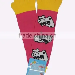 Five Toe Sock thumbnail-1