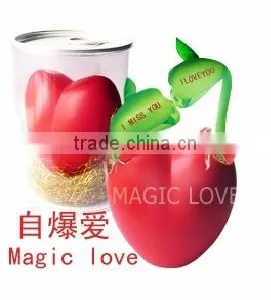 Magic Bean in Heart Shape thumbnail-1