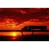 Philippines Trucking Services thumbnail-1