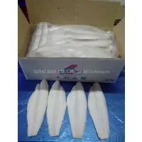 PROMOTION PRICE WHITE MEAT PANGASIUS FILLET WELL TRIMMED UNTRIMMED SEMI TRIMMED PANGASIUS STEAK TILAPIA HORSE MACKEREL ROHU RIVERBARD PANGASIUS HGT thumbnail-1