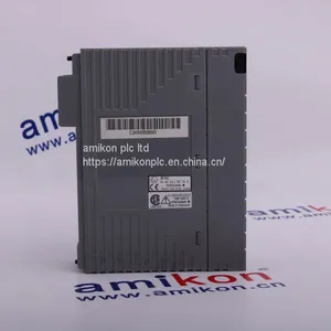 YOKOGAWA AAR145-S00 AAT141-S00 AAT145-S00 thumbnail-1