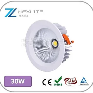 30w COB Downlight Waterproof Led Lights Cutout 162mm Cree Lifud Driver 5 Years Warranty White Led Lights thumbnail-1