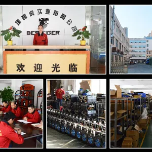 Shenzhen Besi Tiger Industrial Co., Ltd. company overview - view 1 thumbnail