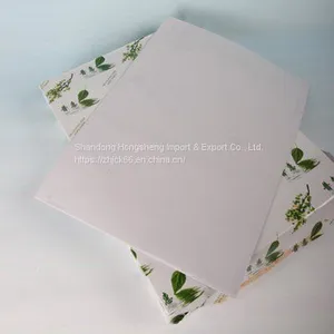a4 Paper Double A 48025600 70/75/80 Grams WhatsApp+8616653182382 thumbnail-1