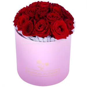 Wholesale Home Garden Desk Decoration Colorful Round Shape Small Flower Plant Pots Indoor Pots thumbnail-3