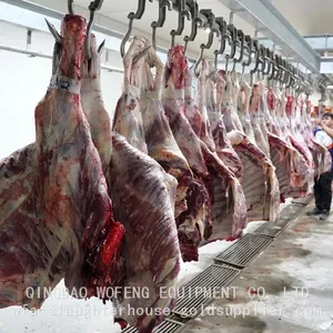 Professional Manufacture Butchery Equipment Machine For Cattle Slaughter Line thumbnail-5